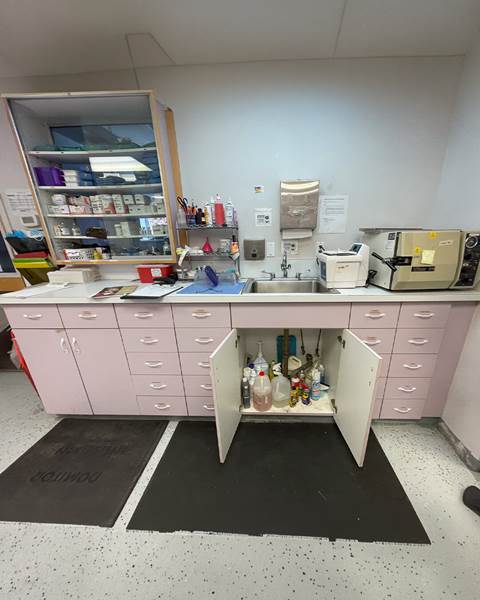 Before — Burlington Veterinary Hospital | Burlington MA