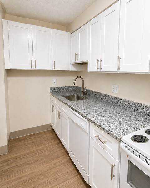 Finish — Kitchen Renovation with Valle Nevado Granite Countertops | Canton, MA