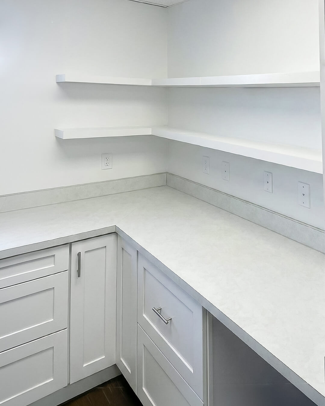 Finish — Burlington Veterinary Hospital | Burlington MA