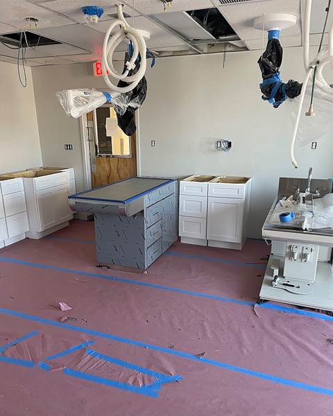 Build — Burlington Veterinary Hospital | Burlington MA