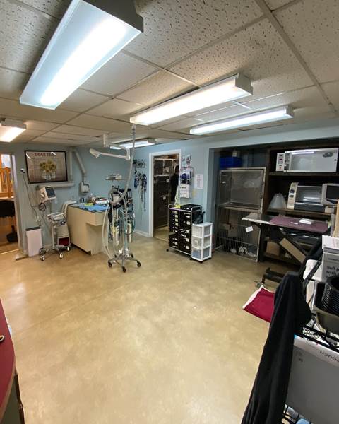 Before — Littleton Animal Hospital | Littleton, MA
