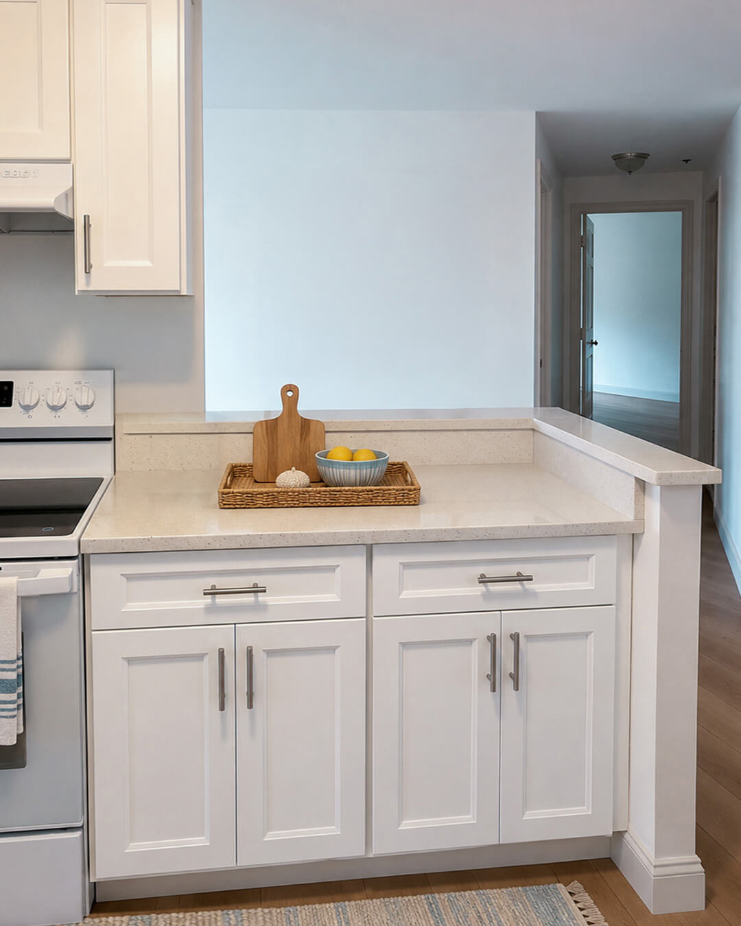 Finish — $10K Kitchen & Vanity Cabinet Refresh | Boston, MA