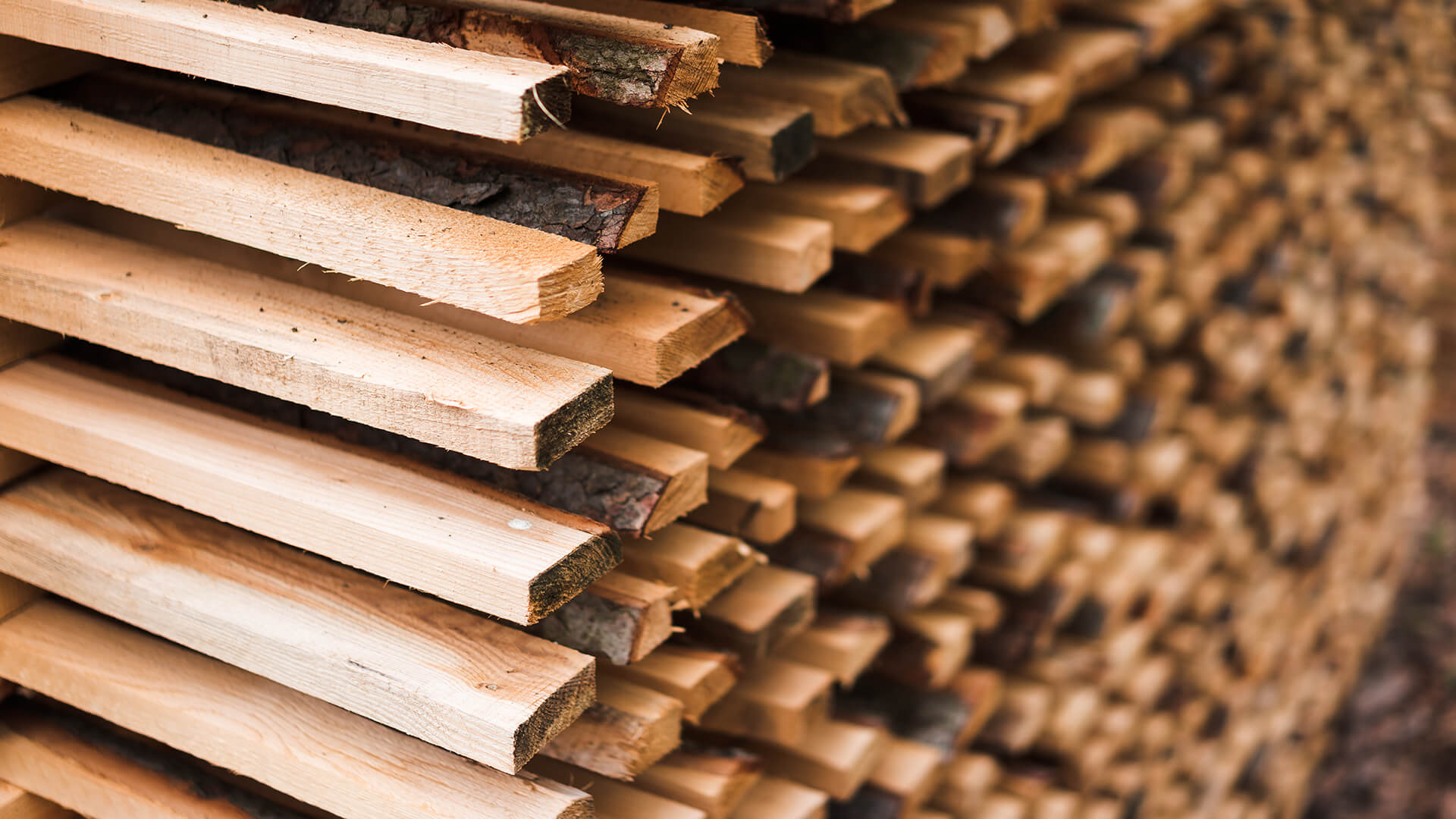 Lumber Futures and Cash Prices Crashing Massachusetts