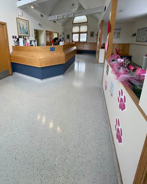 Before — Lincoln Animal Hospital | Lincoln, RI