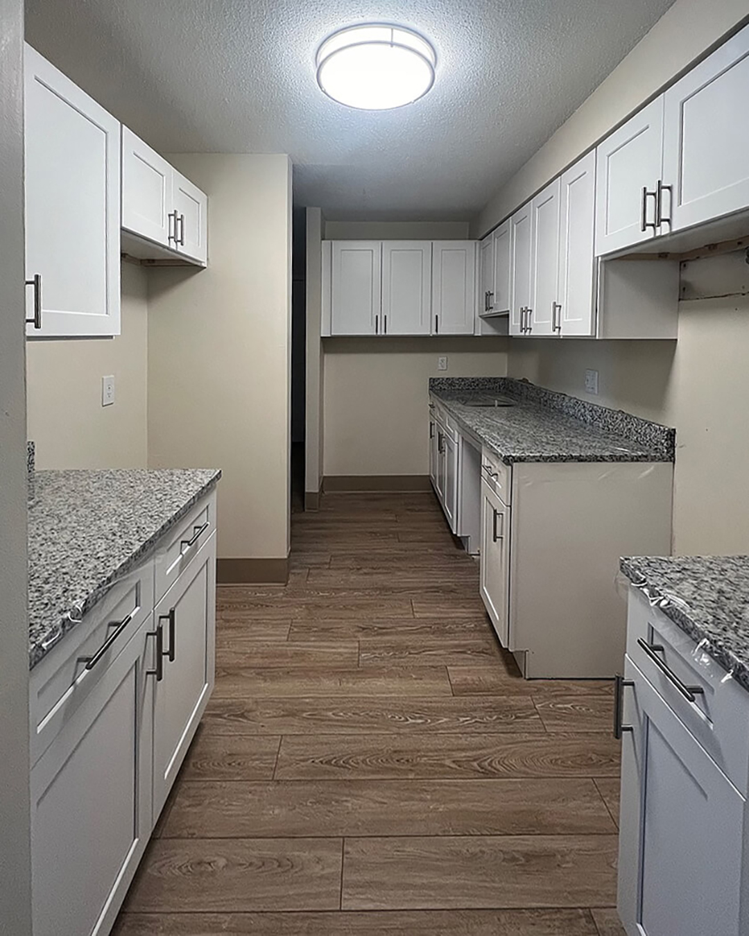 Build — Kitchen Renovation with Valle Nevado Granite Countertops | Canton, MA