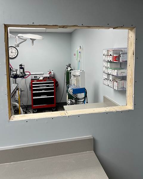 Build — Littleton Animal Hospital | Littleton, MA