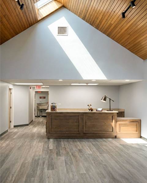 Finish — Littleton Animal Hospital | Littleton, MA