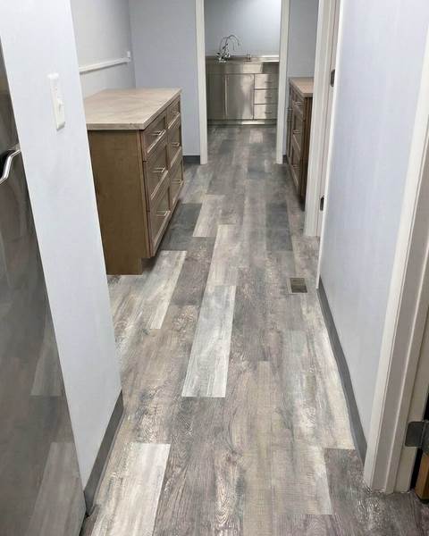 Finish — Littleton Animal Hospital | Littleton, MA