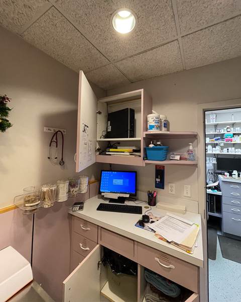 Before — Burlington Veterinary Hospital | Burlington MA