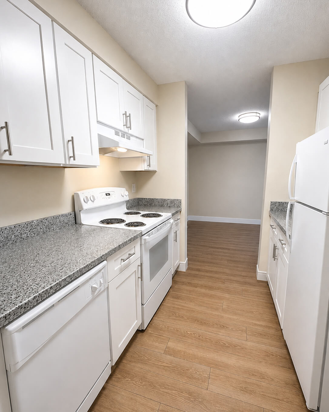 Finish — Kitchen Renovation with Valle Nevado Granite Countertops | Canton, MA