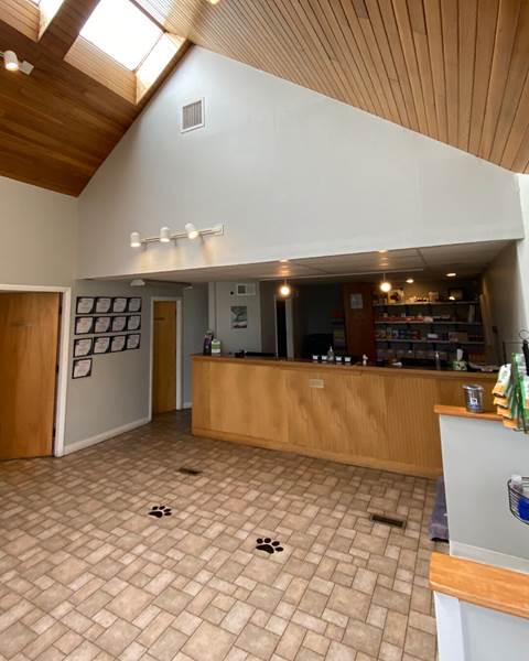 Before — Littleton Animal Hospital | Littleton, MA