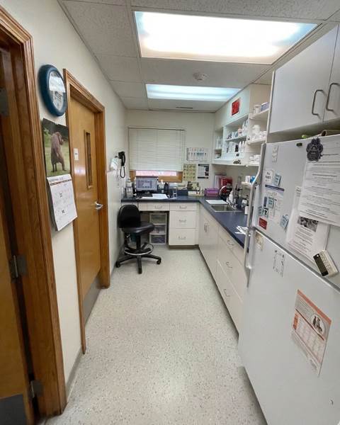Before — Lincoln Animal Hospital | Lincoln, RI