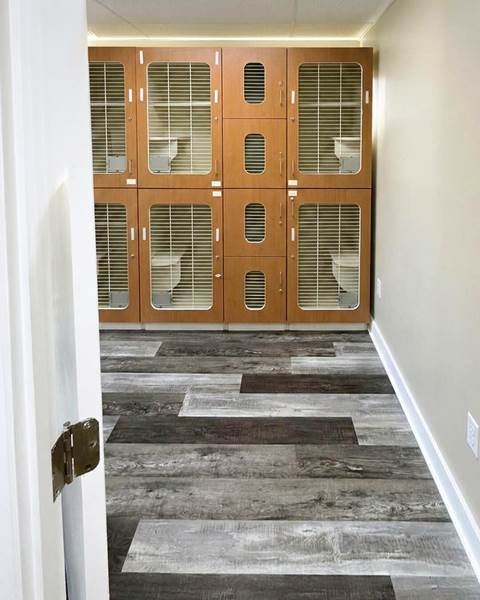 Finish — Littleton Animal Hospital | Littleton, MA