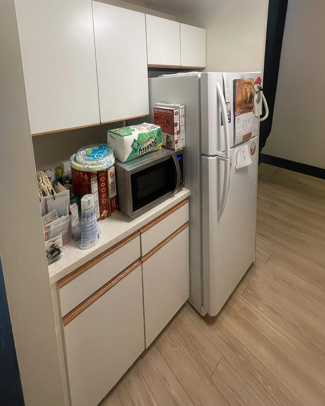 Before — Kitchen Renovation with Valle Nevado Granite Countertops | Canton, MA