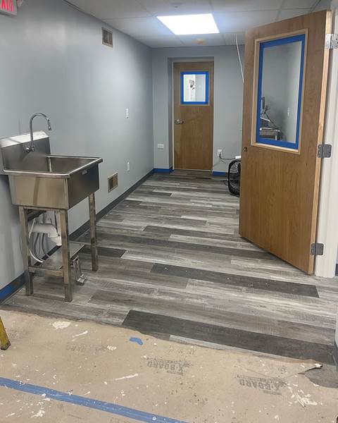 Finish — Littleton Animal Hospital | Littleton, MA