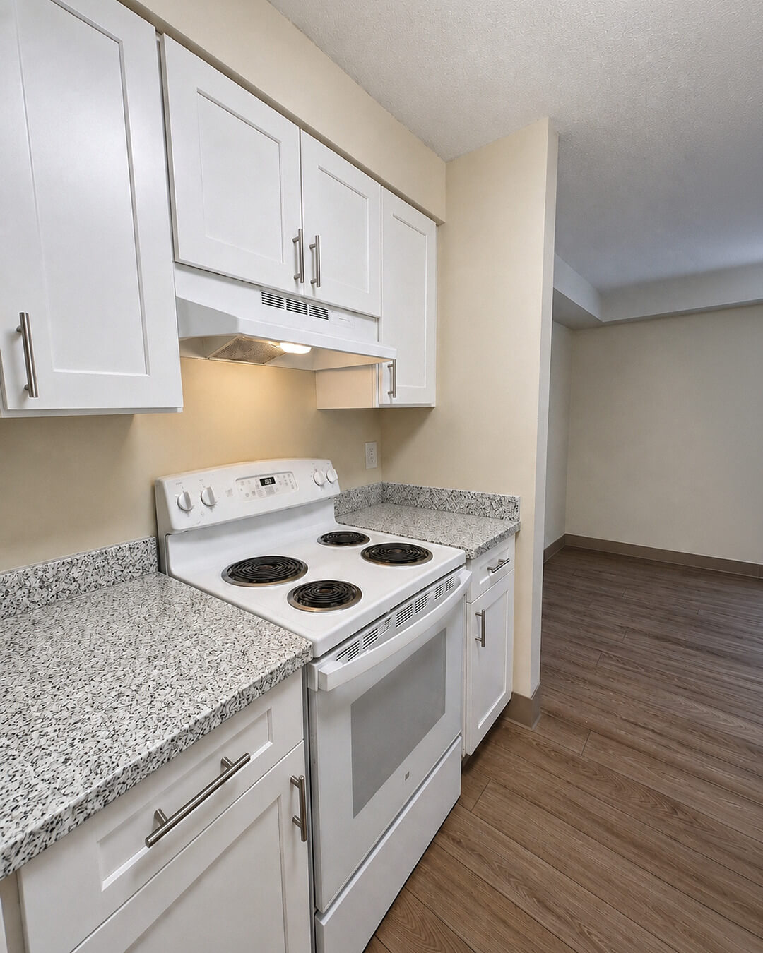 Finish — Kitchen Renovation with Valle Nevado Granite Countertops | Canton, MA