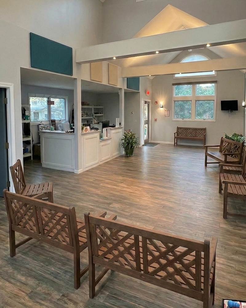 Lincoln Animal Hospital | Lincoln, RI