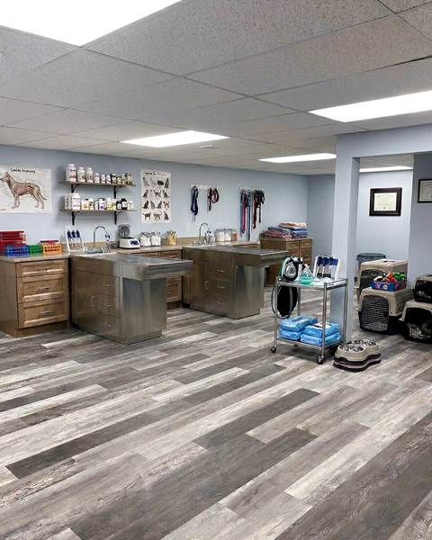 Finish — Littleton Animal Hospital | Littleton, MA