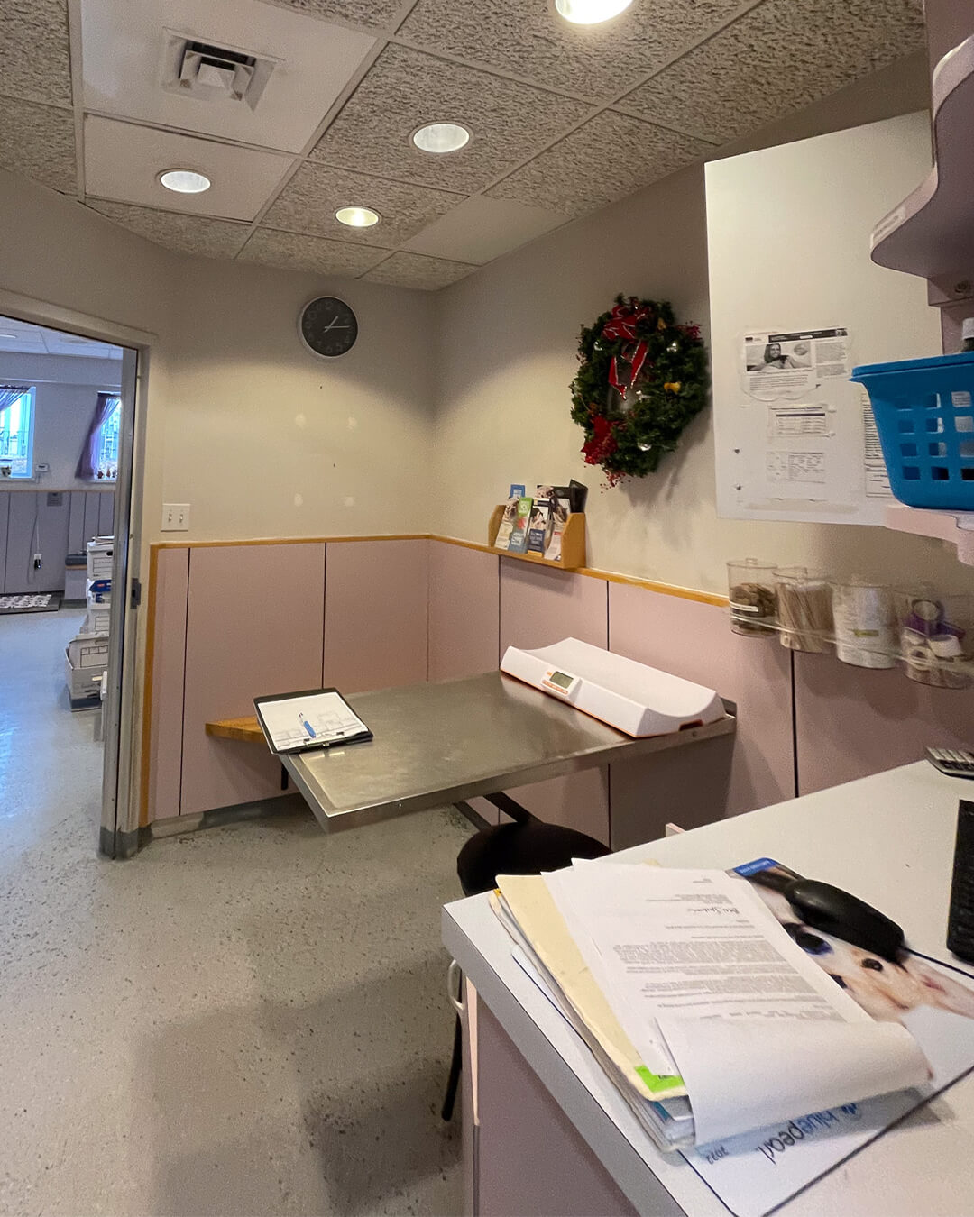 Before — Burlington Veterinary Hospital | Burlington MA