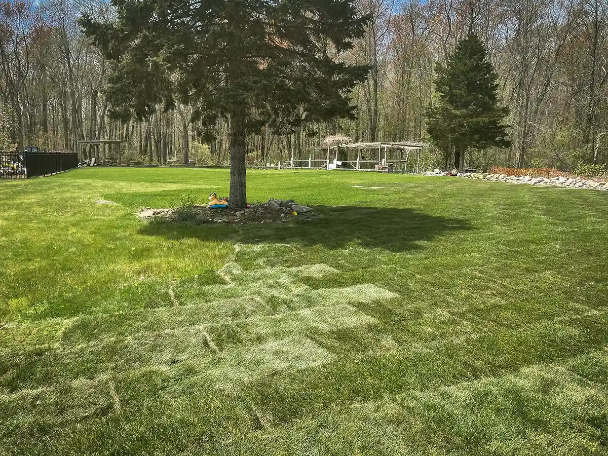 Finish — Landscaping | Braintree MA