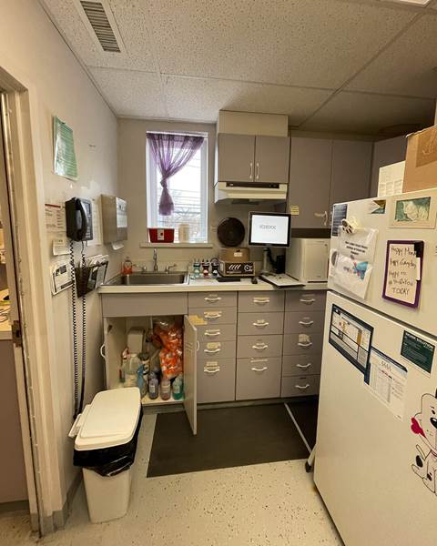 Before — Burlington Veterinary Hospital | Burlington MA