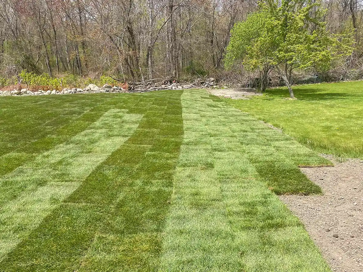 Finish — Landscaping | Braintree MA