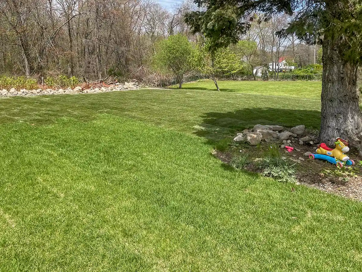 Finish — Landscaping | Braintree MA