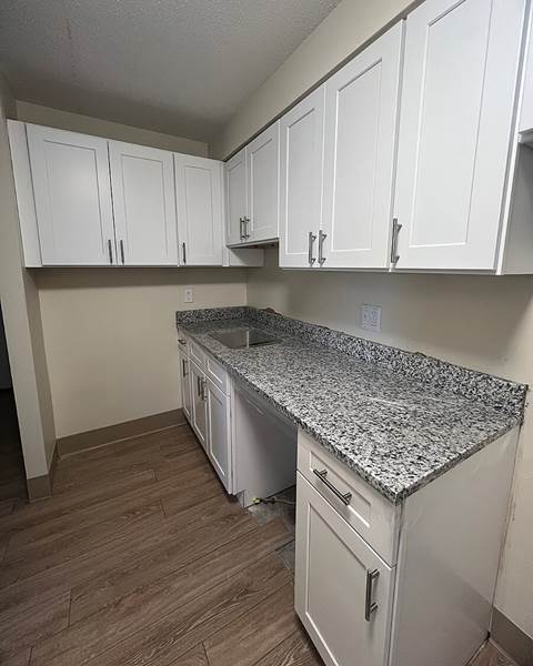 Build — Kitchen Renovation with Valle Nevado Granite Countertops | Canton, MA