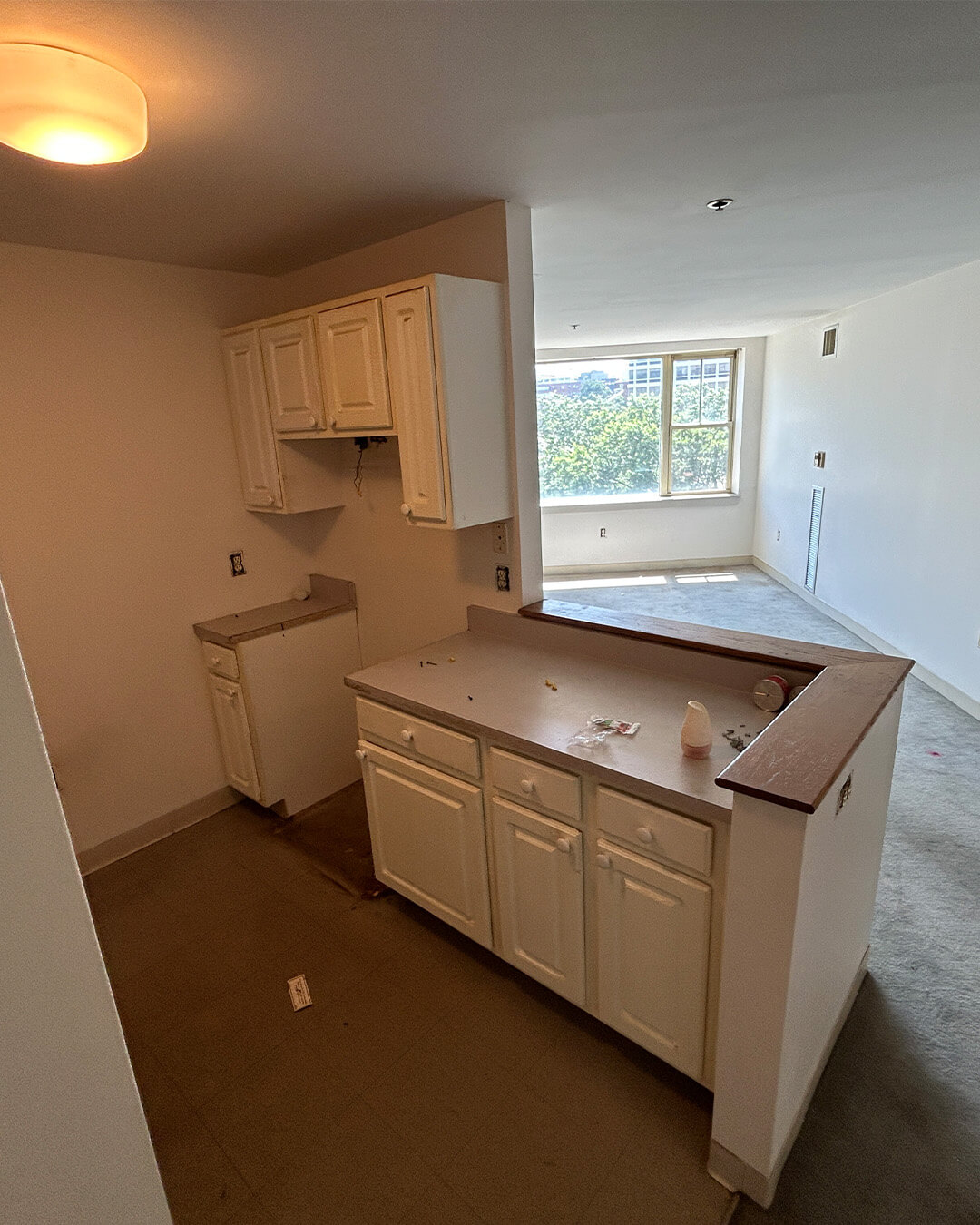 Before — $10K Kitchen & Vanity Cabinet Refresh | Boston, MA